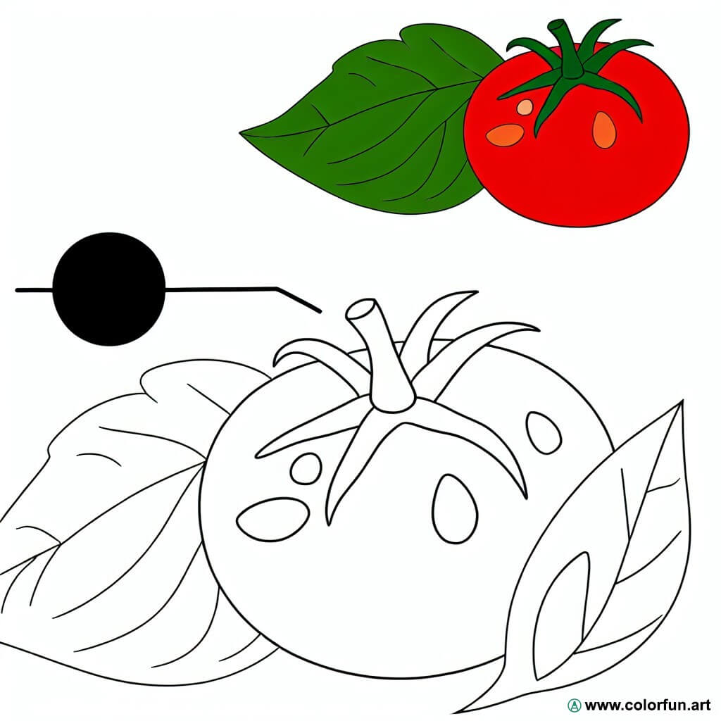 Dibujo Para Colorear Fácil De Un Tomate Descargar O Imprimir De Forma Gratuita