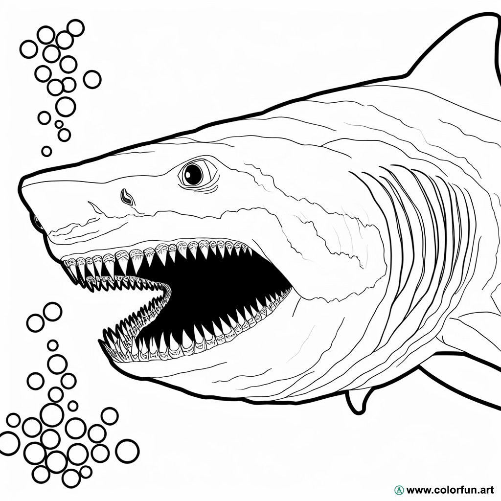dibujo para colorear tiburón megalodón realista