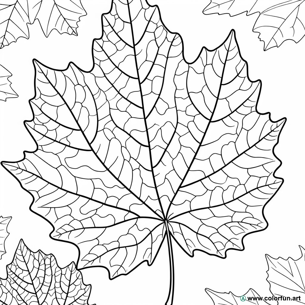 dibujo para colorear hoja otoño